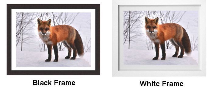 Select Your Frame Select Your Frame